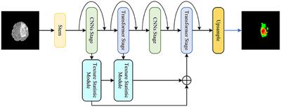 A medical image segmentation method based on multi-dimensional statistical features